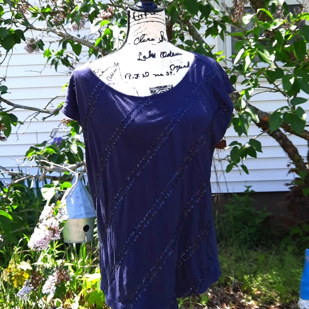 ANN TAYLOR LOFT Sequin Sleeveless Top